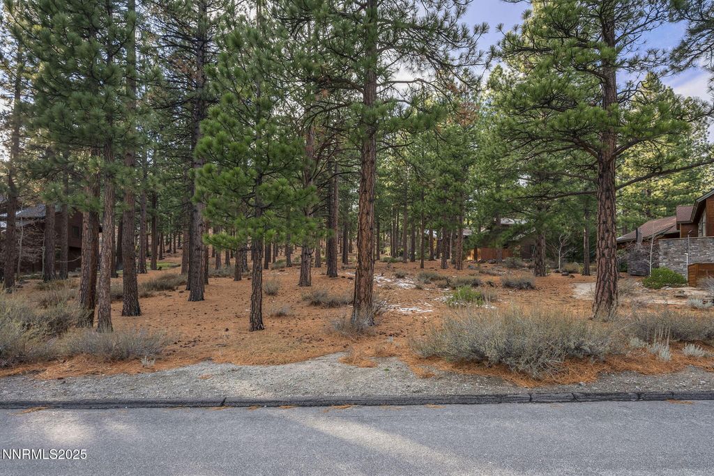 1385 Austrian Pine Road, Reno, NV 89511