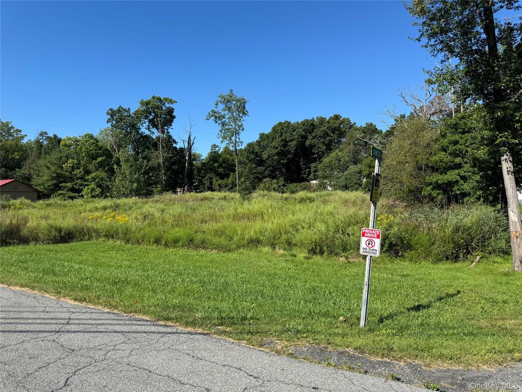 St Rte 208 Ws, Montgomery, NY 12549 — photo 4
