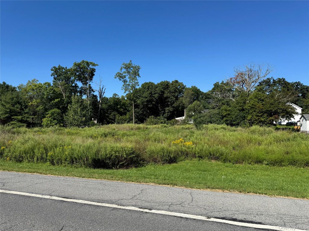 St Rte 208 Ws, Montgomery, NY 12549 — photo 5