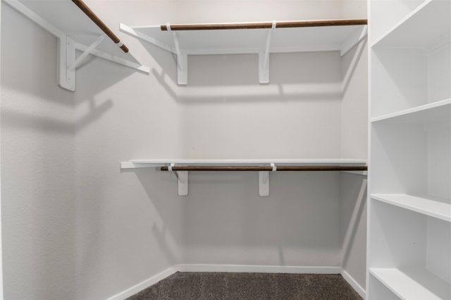 27402 Axis Deer Trail, Magnolia, TX 77354