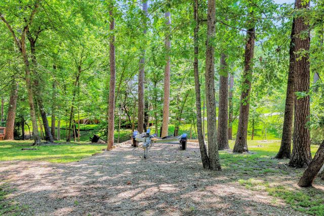 81 Baron Drive, Coldspring, TX 77331