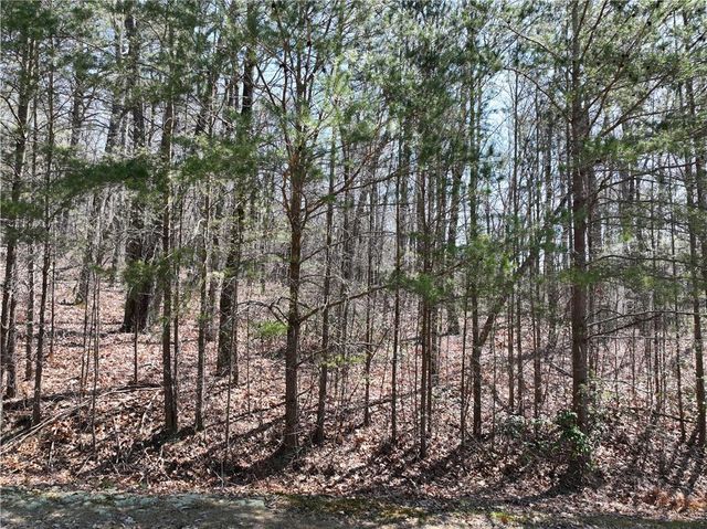 58 Saint Andrews Way, Ellijay, GA 30536