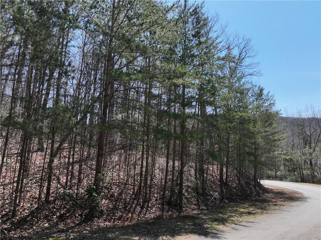 58 Saint Andrews Way, Ellijay, GA 30536