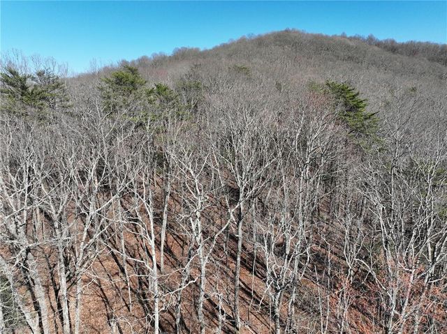 58 Saint Andrews Way, Ellijay, GA 30536