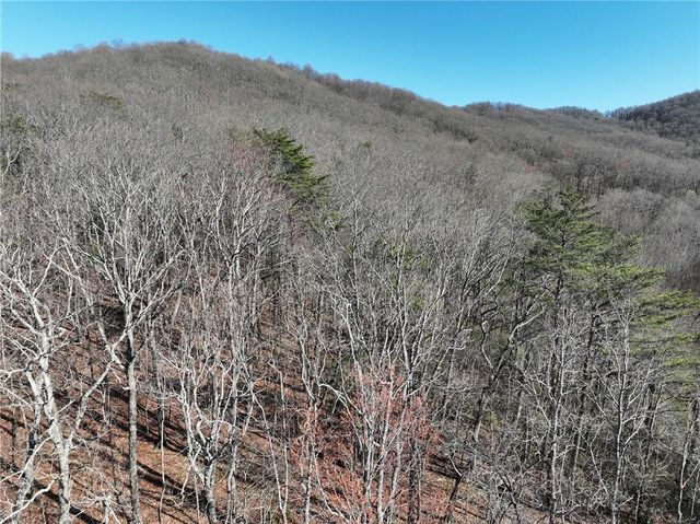 58 Saint Andrews Way, Ellijay, GA 30536