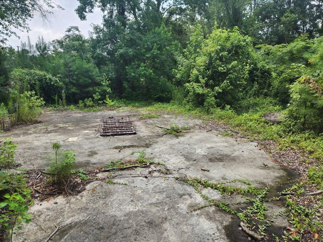 102 Hope Drive, Summerville, SC 29485