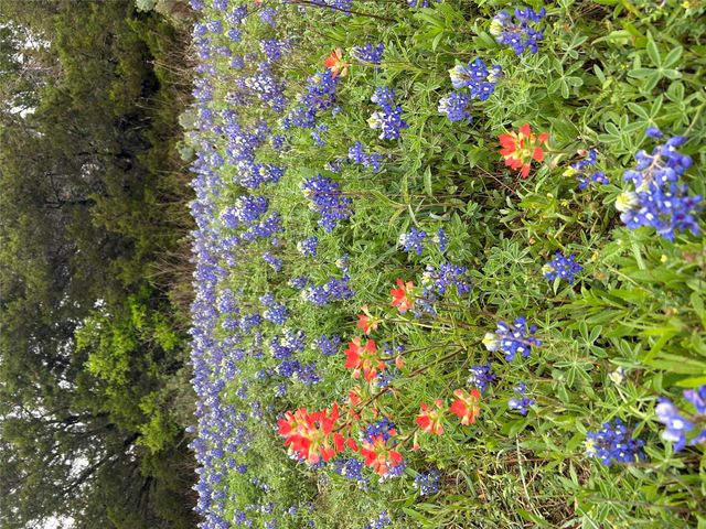 10032 Scull Creek DR, Austin, TX 78730