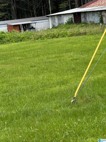 1293 COUNTY ROAD 196, Haleyville, AL 35565