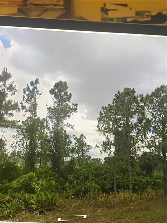 2709 19th ST W, LEHIGH ACRES, FL 33971 — photo 2