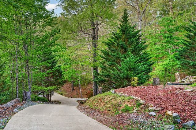 19 The Forest Road, Blue Ridge, GA 30513