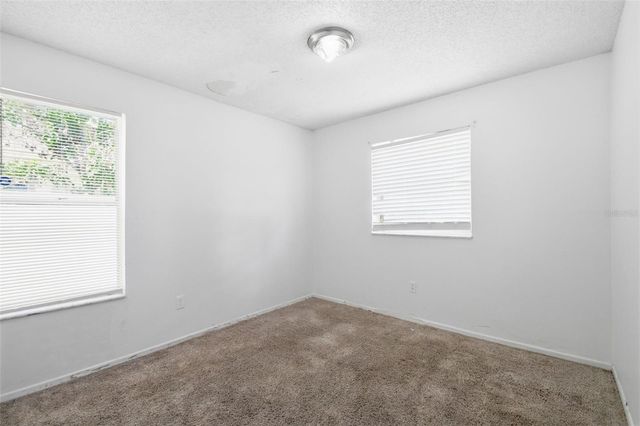 8412 RENALD BOULEVARD, Tampa, FL 33637