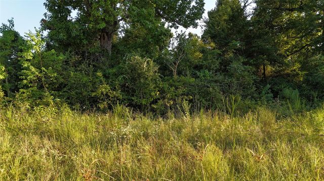 TBD Long Drive, Onalaska, TX 77360