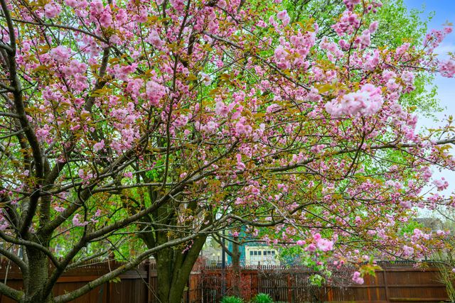 1507 Broadway Street, Indianapolis, IN 46202