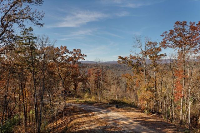456 Back Pine Way, Ellijay, GA 30536
