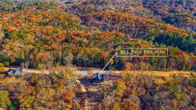 456 Back Pine Way, Ellijay, GA 30536