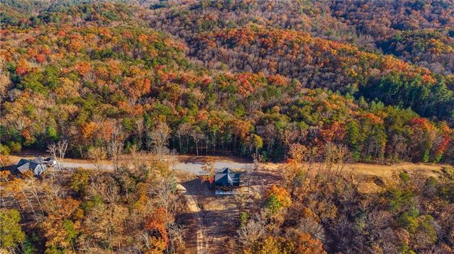 456 Back Pine Way, Ellijay, GA 30536