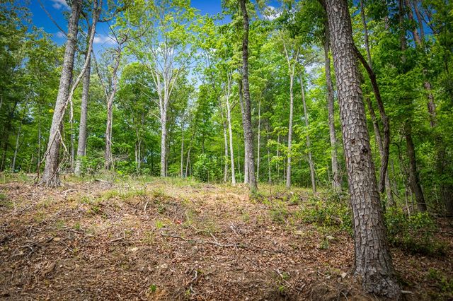 0 Morganton Hwy, Suches, GA 30572