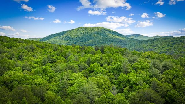 0 Morganton Hwy, Suches, GA 30572