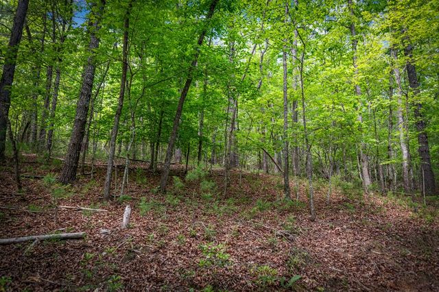 0 Morganton Hwy, Suches, GA 30572