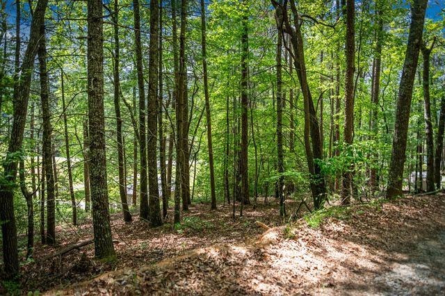 0 Morganton Hwy, Suches, GA 30572