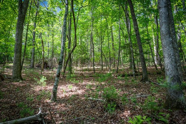 0 Morganton Hwy, Suches, GA 30572