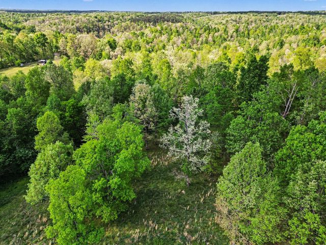 7850 W Lick Creek Rd, Primm Springs, TN 38476