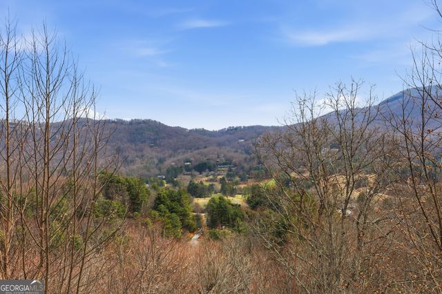 119 Buttermilk Circle, Sky Valley, GA 30537