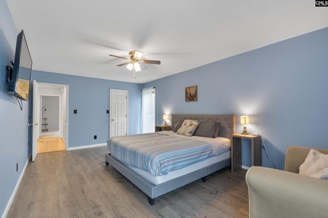 904 Green Meadow Drive, Chapin, SC 29036