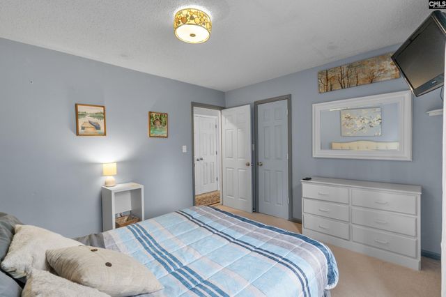904 Green Meadow Drive, Chapin, SC 29036