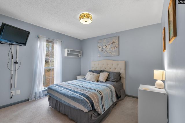 904 Green Meadow Drive, Chapin, SC 29036