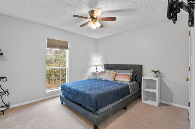 904 Green Meadow Drive, Chapin, SC 29036