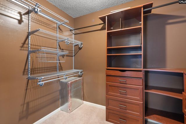 904 Green Meadow Drive, Chapin, SC 29036