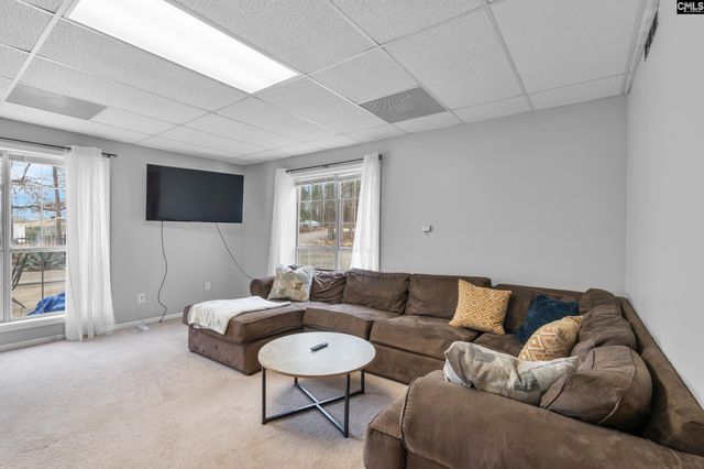 904 Green Meadow Drive, Chapin, SC 29036