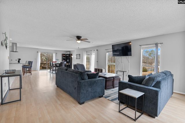 904 Green Meadow Drive, Chapin, SC 29036