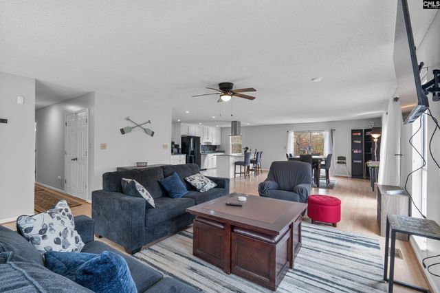 904 Green Meadow Drive, Chapin, SC 29036