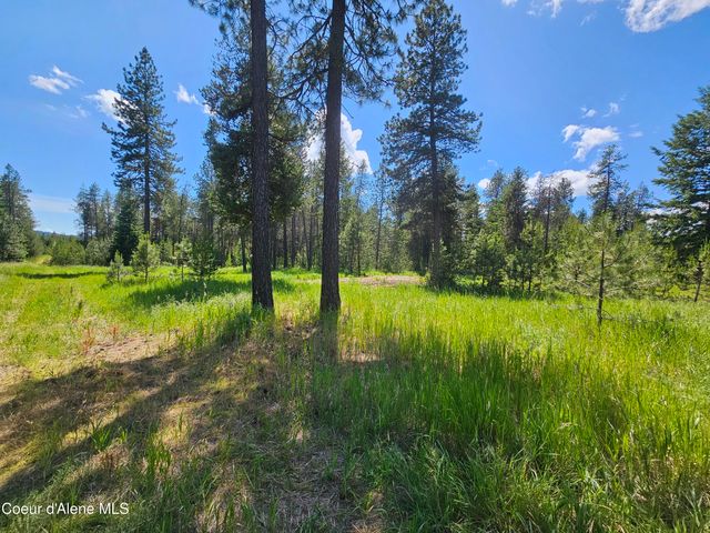 NKA E Parks Rd, Athol, ID 83801