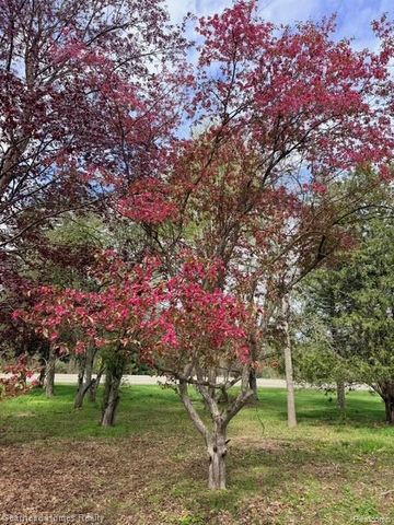 VL Sashabaw Road, Independence Charter Township, MI 48348