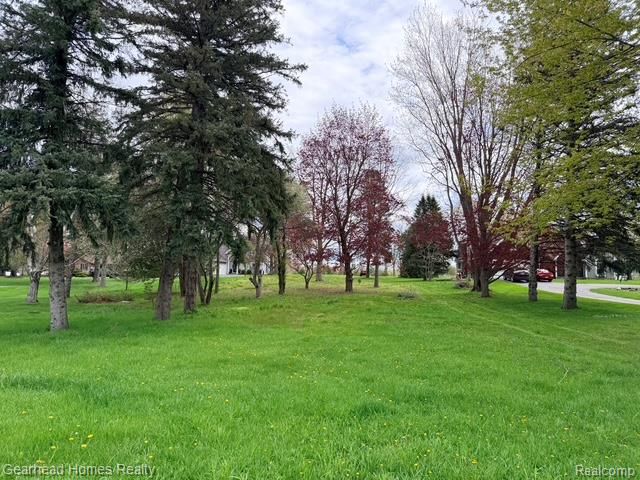 VL Sashabaw Road, Independence Charter Township, MI 48348