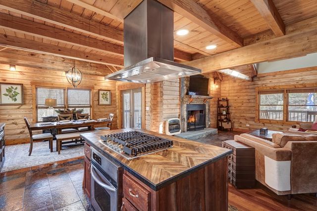 15 Mount Laurel Way, Blue Ridge, GA 30513