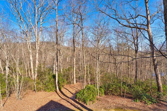 15 Mount Laurel Way, Blue Ridge, GA 30513