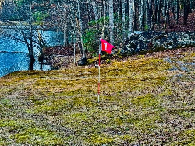 15 Mount Laurel Way, Blue Ridge, GA 30513