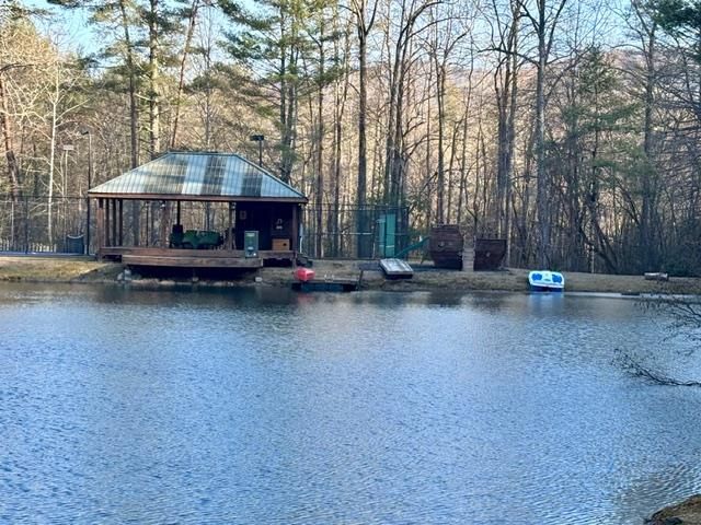 15 Mount Laurel Way, Blue Ridge, GA 30513