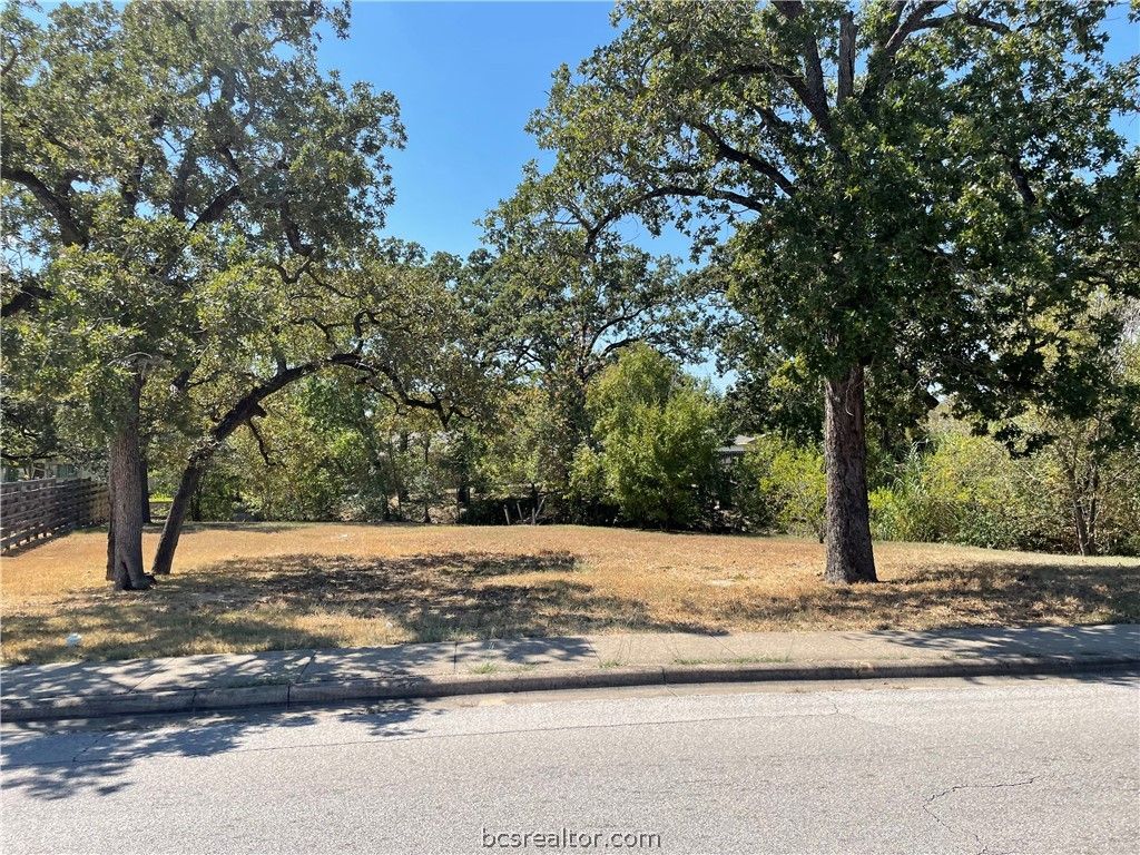 3310 Carter Creek Parkway, Bryan, TX 77802 — photo 3