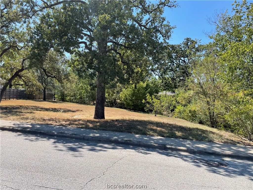 3310 Carter Creek Parkway, Bryan, TX 77802 — photo 4