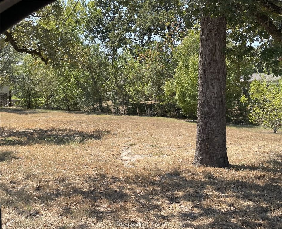 3310 Carter Creek Parkway, Bryan, TX 77802 — photo 5