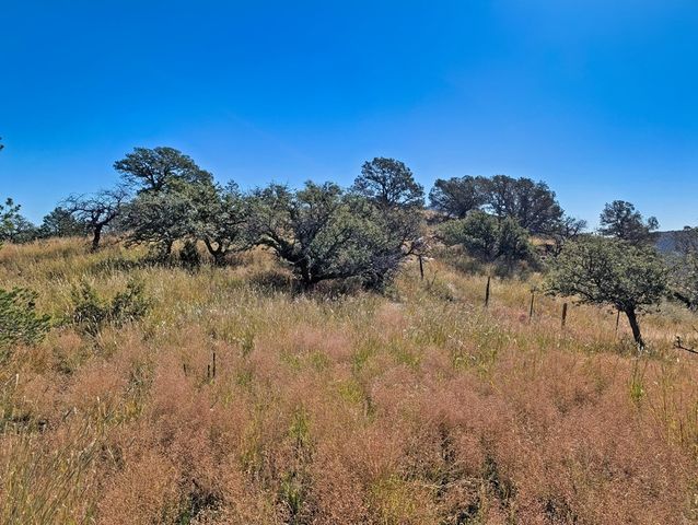206 Cedar Trail, Fort Davis, TX 79734