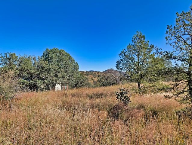 206 Cedar Trail, Fort Davis, TX 79734