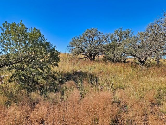 206 Cedar Trail, Fort Davis, TX 79734