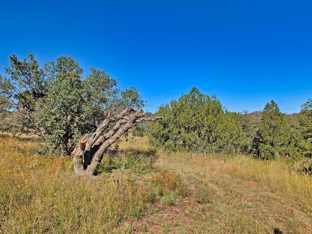 206 Cedar Trail, Fort Davis, TX 79734
