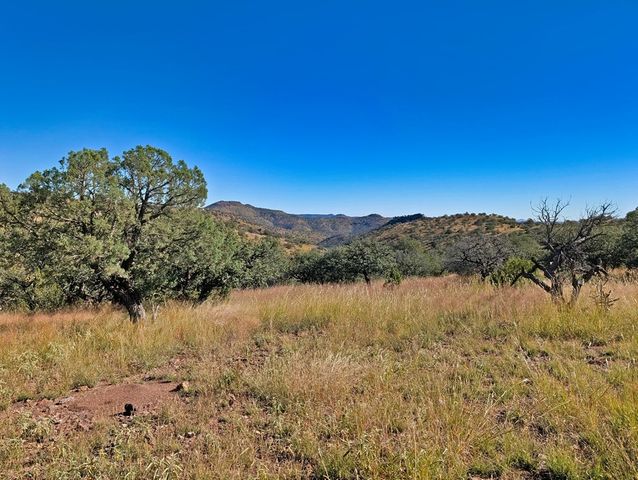 206 Cedar Trail, Fort Davis, TX 79734